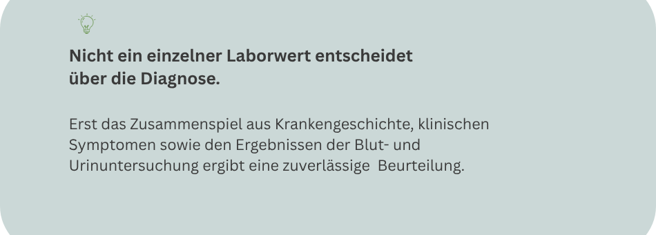 Merksatz: Nicht ein einzelner Laborwert entscheidet über die Diagnose einer CNI bei Katzen
