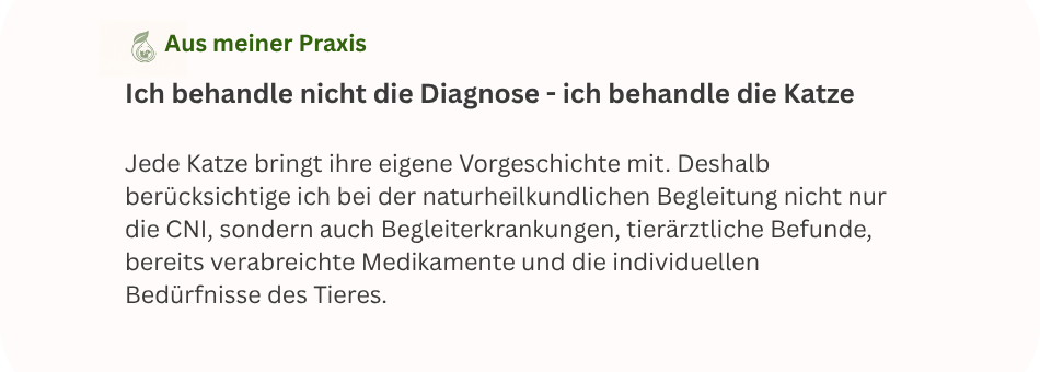 Merksatz geanzheitliche Behandlung CNI Katze aus meiner praxis: cni katze wird ganzheitlich behandelt