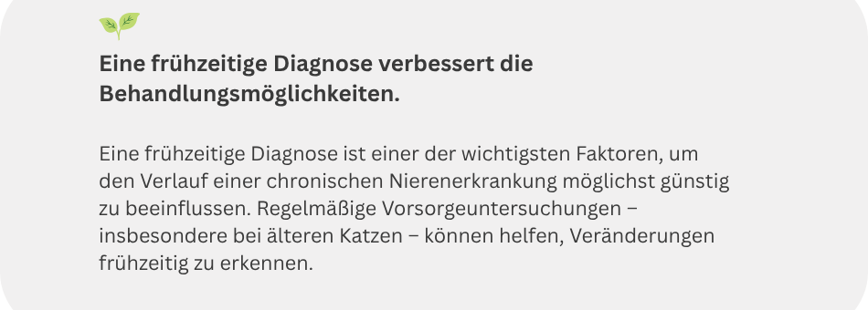 Gut zu wissen: Eine frühzeitige Diagnose verbessert die Behandlungsmöglichkeiten bei Katzen mit CNI.