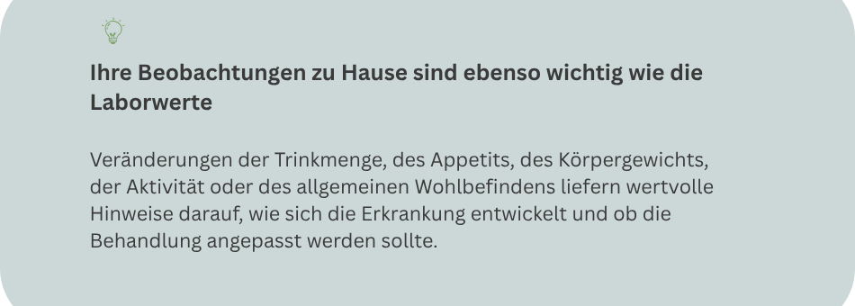 Merksatz: Ihre Beobachtungen zu Hause sind ebenso wichtig wie die Laborwerte bei einer Katze mit chronischer Nierenerkrankung.