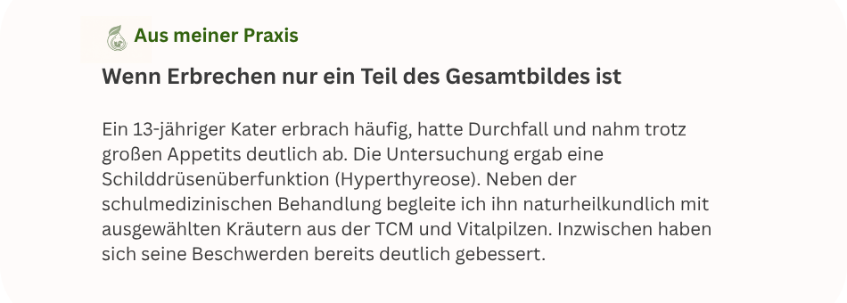 Praxisbeispiel: Kater mit Erbrechen, Durchfall und Schilddrüsenüberfunktion