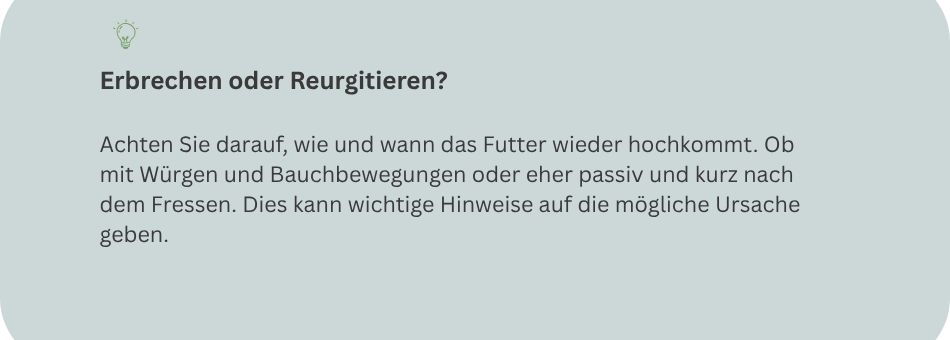 Merksatz Erbrechen oder reurgitieren bei Katze Infografik zum Unterschied zwischen Erbrechen und Regurgitieren bei Katzen