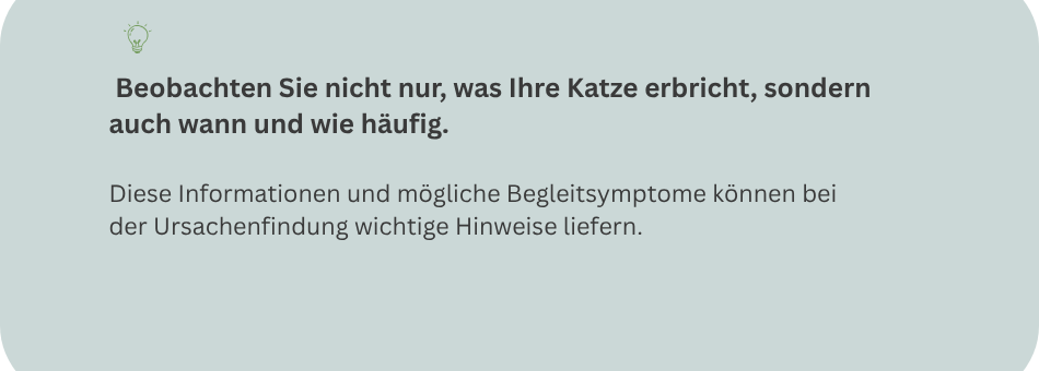 Wichtige Beobachtungen bei Erbrechen der Katze – Häufigkeit, Zeitpunkt und Begleitsymptome