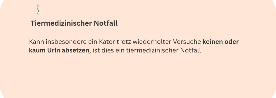 Infostz zu warnsignal bei Katze mit mangelndem Urinabsatz