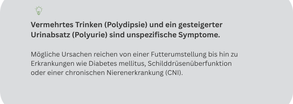 Infotext zu öglichen Ursachen bei Polydipsie und Polyurie bei Katzen