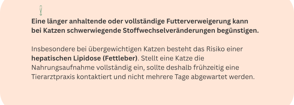 Hinweis zur Futtekarenz bei Katzen und Tierarztbesuch