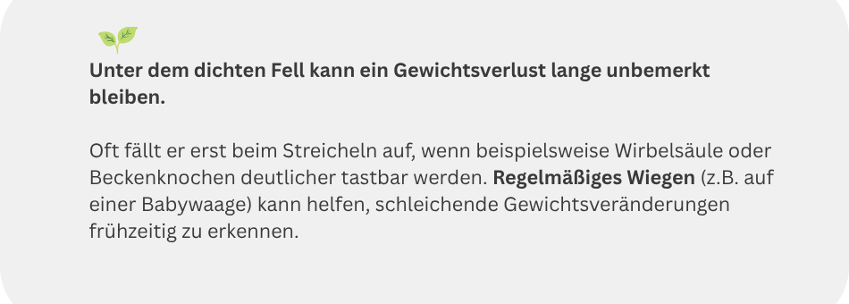 Merksatz zur Festetllung des Gewichtsverlustes bei Katzen